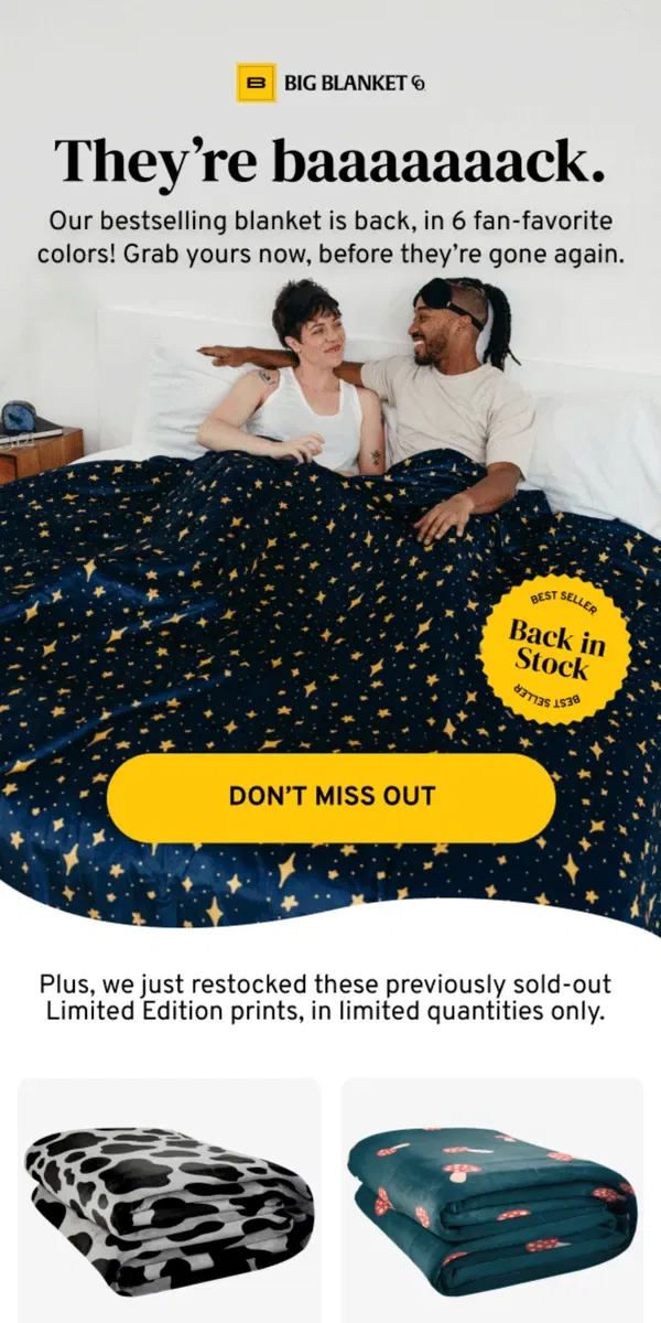 Email from Big Blanket Co. IT'S RESTOCK O'CLOCK ⏰