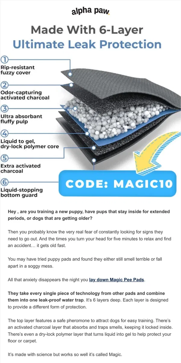 Email from Alpha Paw. Indoor or older dogs? Protect your floors with Magic Pads 💦