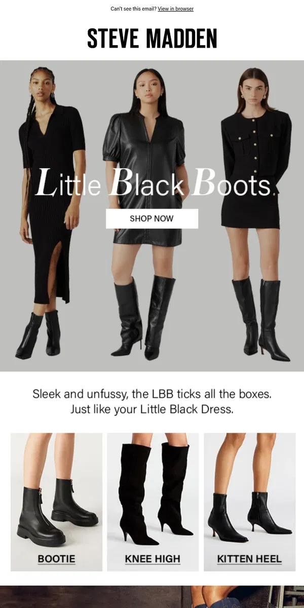 Email from Steve Madden. The LBD Of Shoes