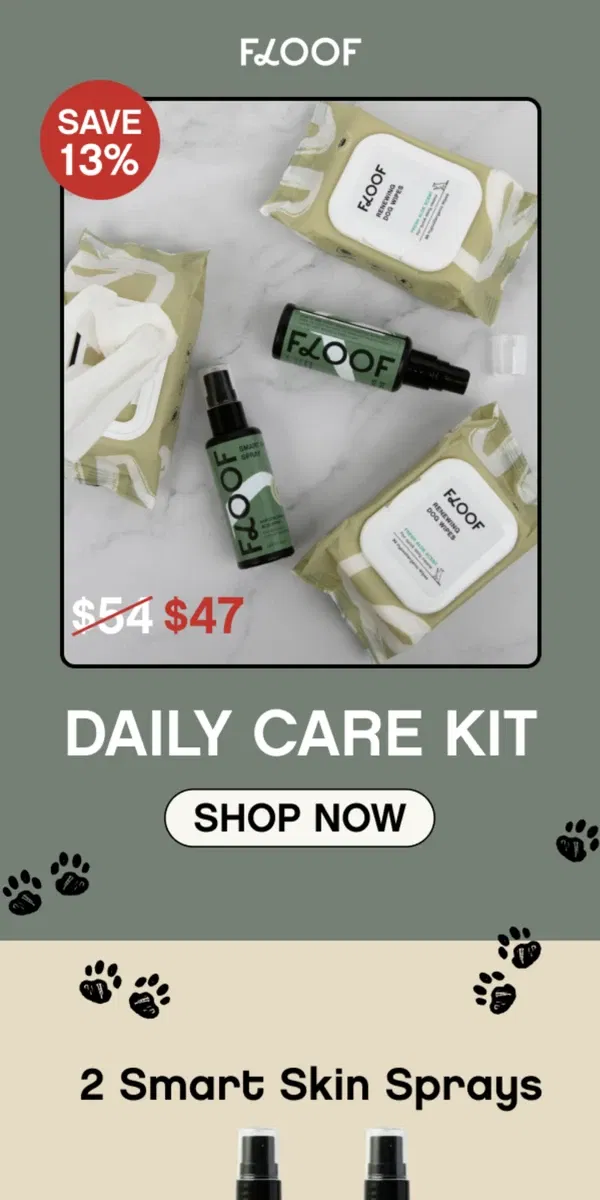 Email from Floof. Unlock Exclusive Savings: Your Pup's Daily Care Kit for Just $47!