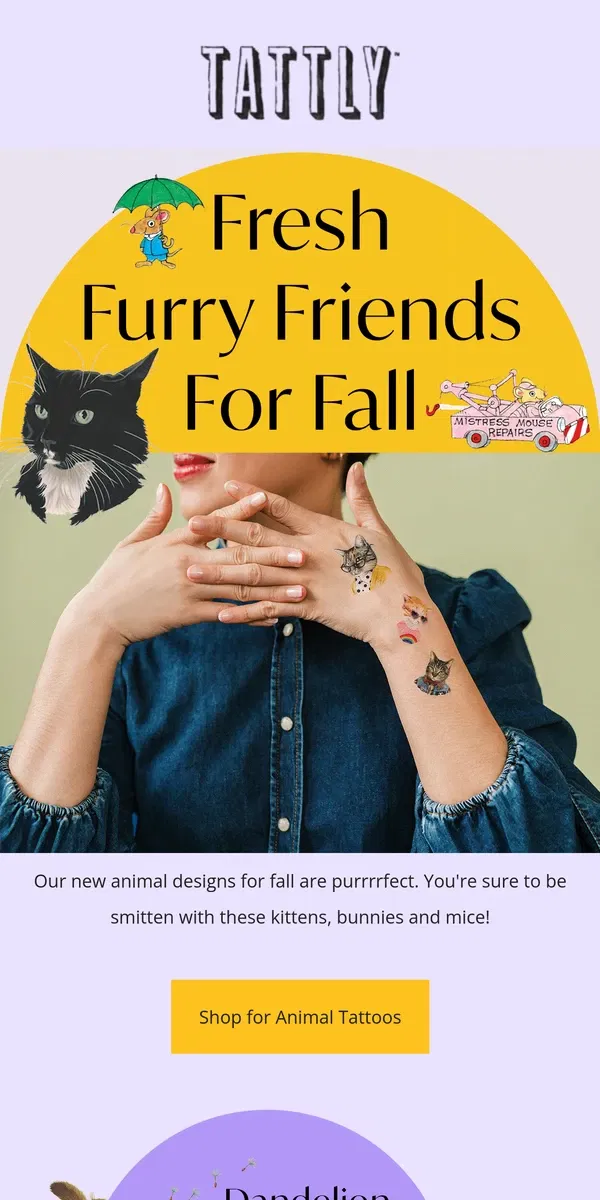 Email from Tattly. New Fuzzy Faces 🐱