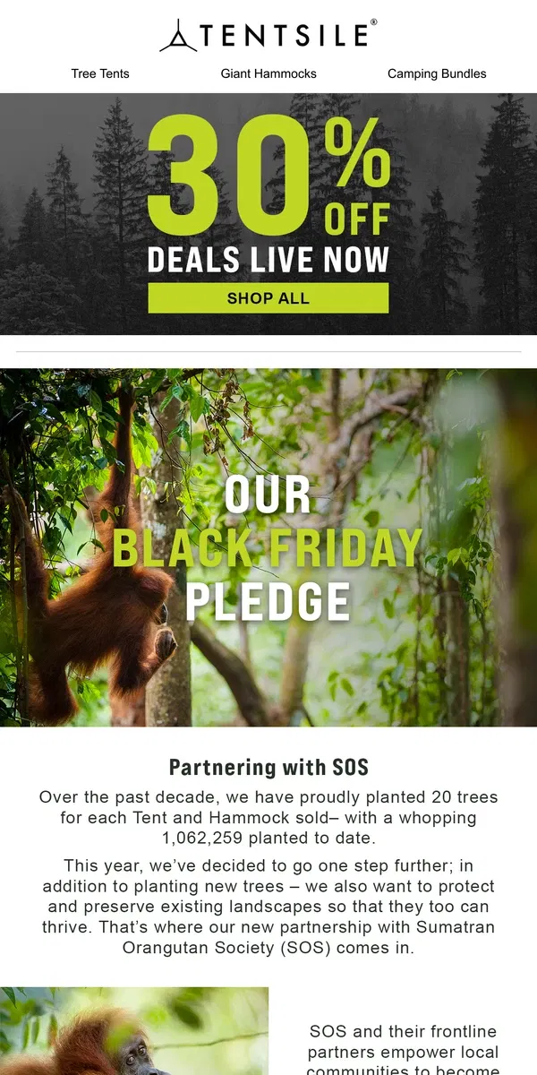 Email from Tentsile. Our Black Friday Pledge 🌲