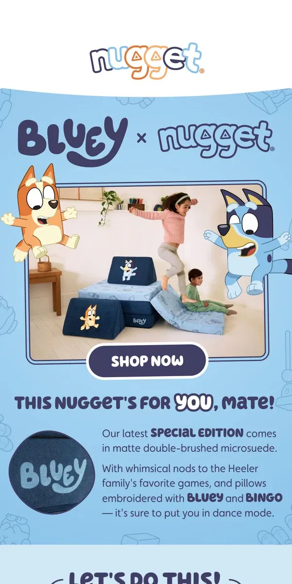 Email from Nugget. HOORAY! It's The Bluey Nugget!