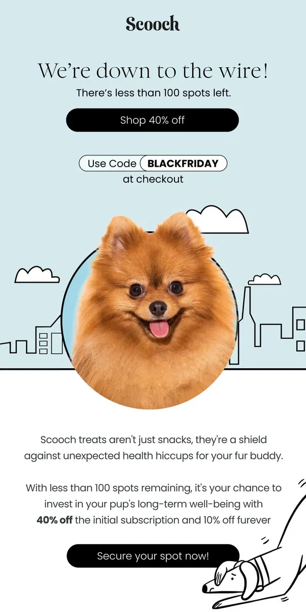 Email from Scooch. Final countdown for our Black Friday Sale!