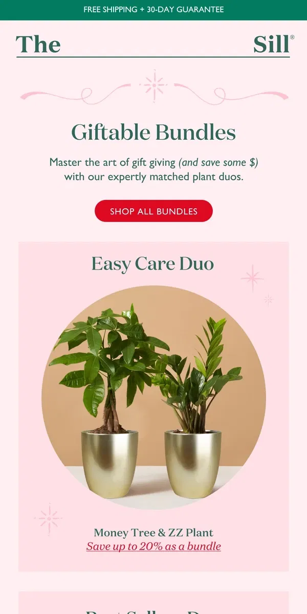 Email from The Sill. Gift-Worthy Plant Bundles - Up to 40% Off!