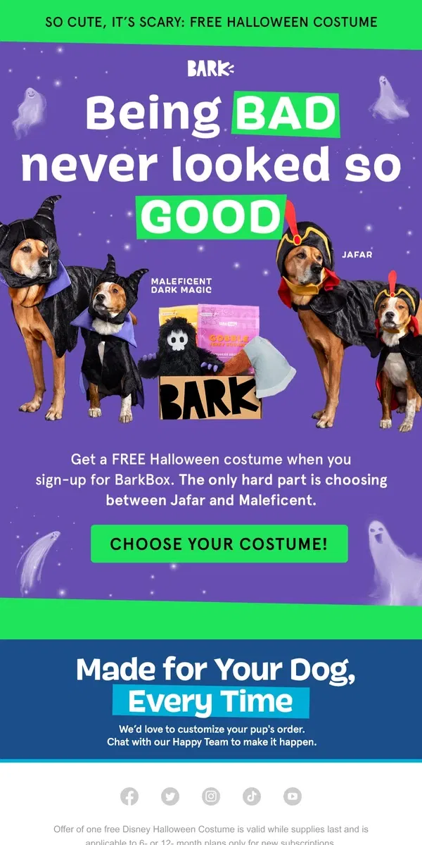 Email from BarkBox. What Disney Villain will your pup be this Halloween? 😈