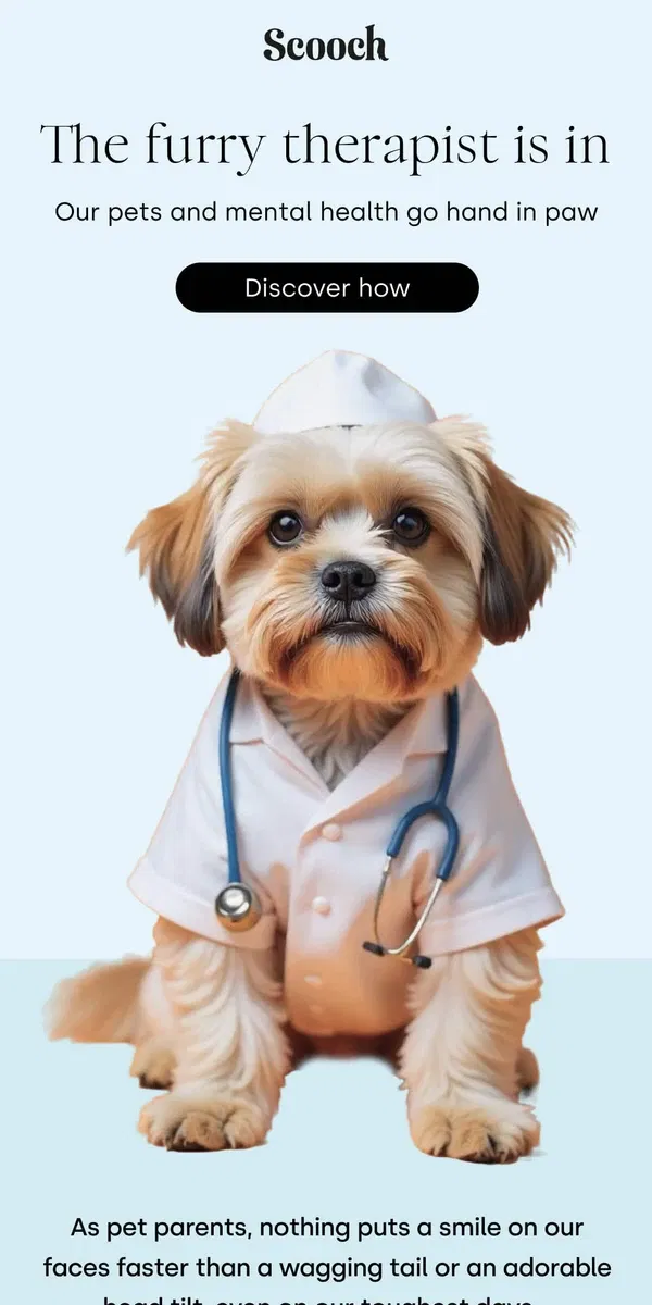 Email from Scooch. The dogtor will see you now 🐶