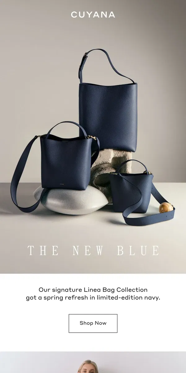 Email from Cuyana. The New Blue