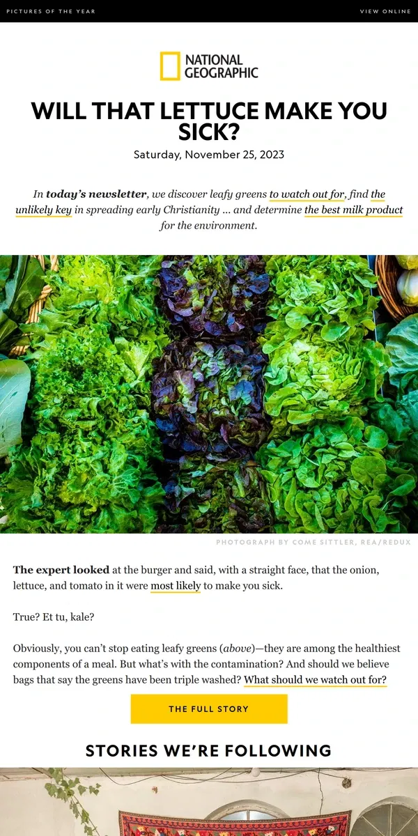 Email from National Geographic. Which leafy greens are safe to eat? Plus, the unlikely key to spreading early Christianity; the best type of ‘milk’