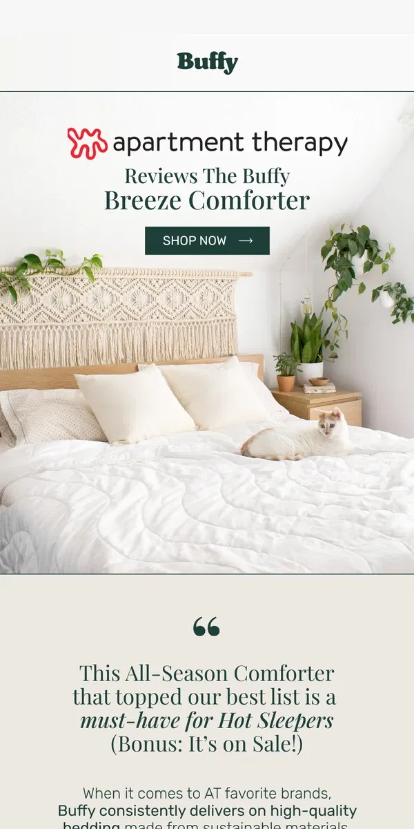 Email from Buffy. Apartment Therapy Reviews the Buffy Breeze Comforter