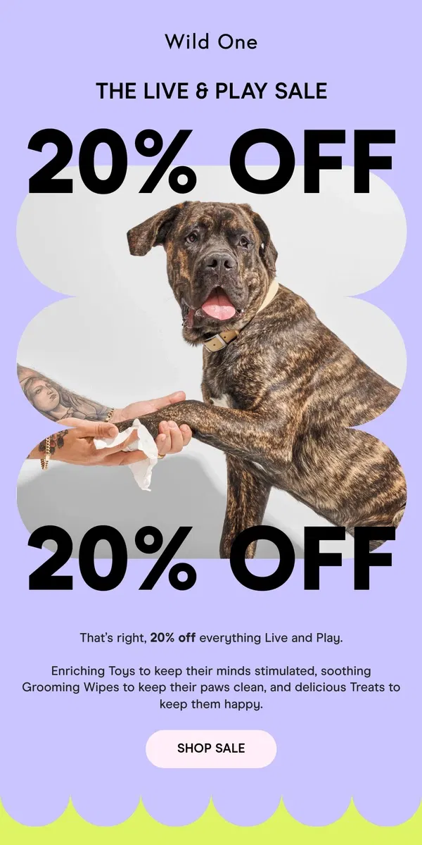 Email from Wild One. 20% Off Best Sellers For Your Bestie