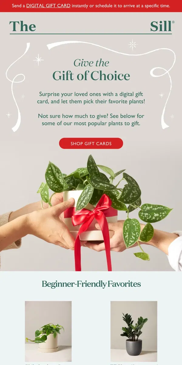 Email from The Sill. Gift Cards for Our Most Popular Gifts