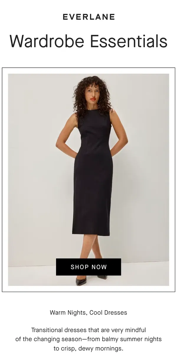 Email from Everlane. Is it Brat? Is it Demure? You Tell Us.