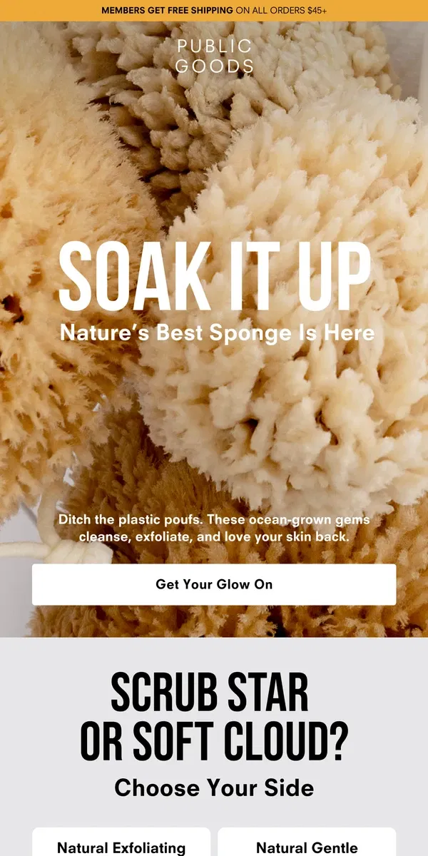 Email from Public Goods. Your Skin's New Best Friend: Meet the Sea Sponge 🛁