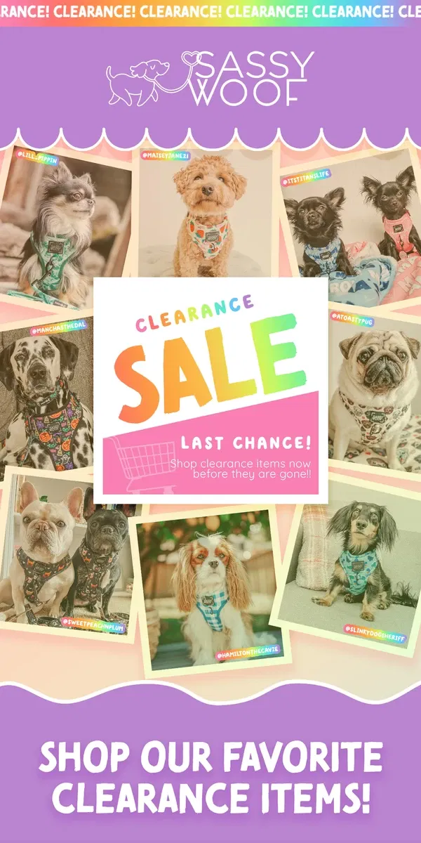 Email from Sassy Woof. 40+ items added to Clearance! ✨