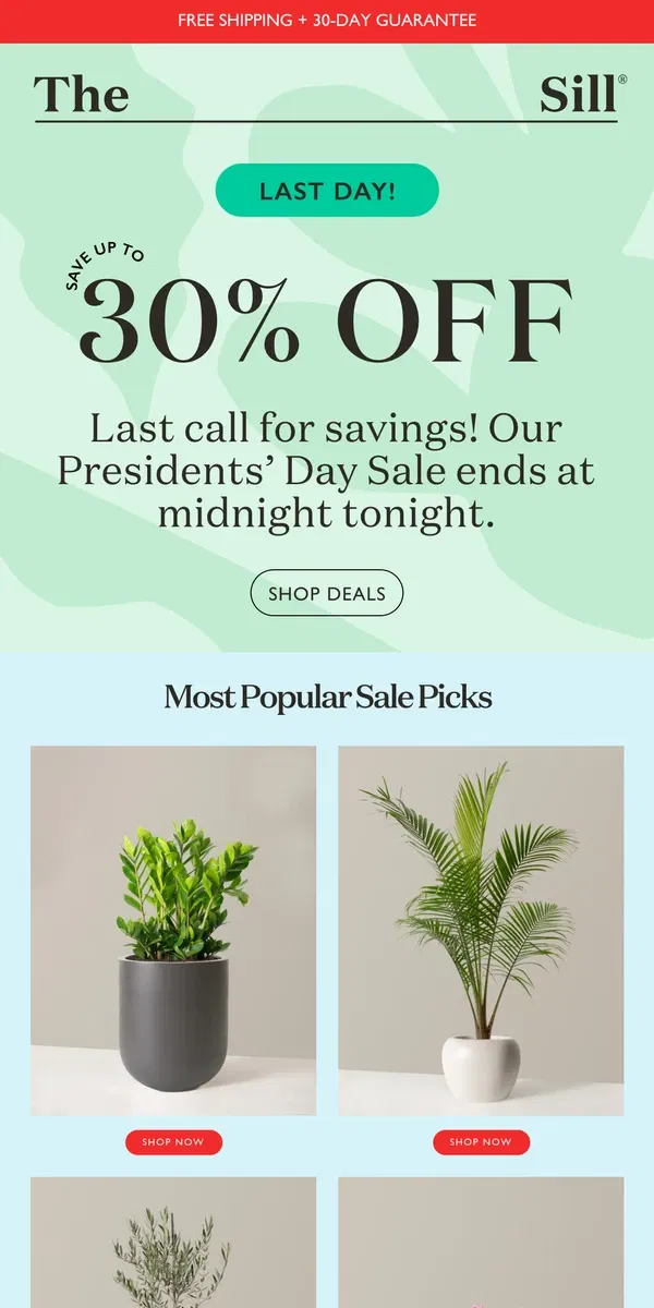 Email from The Sill. *Last Chance* For Amazing Deals on Houseplants