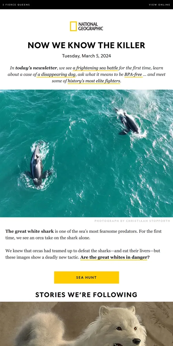 Email from National Geographic. This orca is a great white shark killer; BPA free may not be free; the disappearing dogs