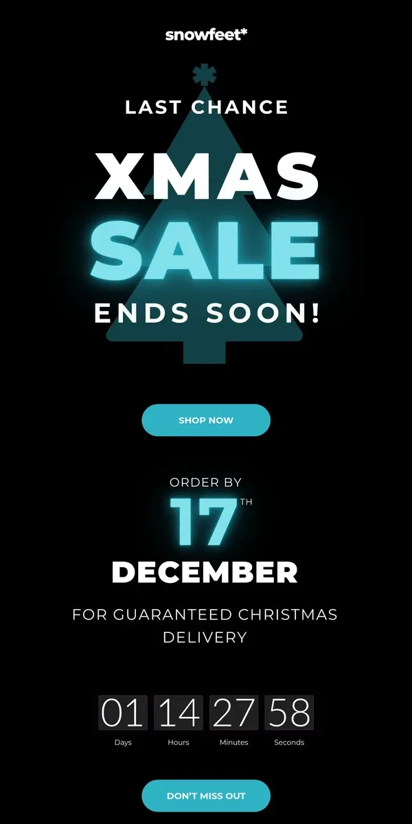 Email from Snowfeet. Last Chance! 🎄 Order Snowfeet by Dec 17 for Christmas Delivery!