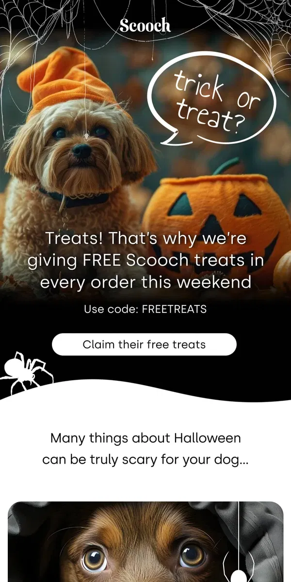 Email from Scooch. No tricks, just FREE treats 🎃