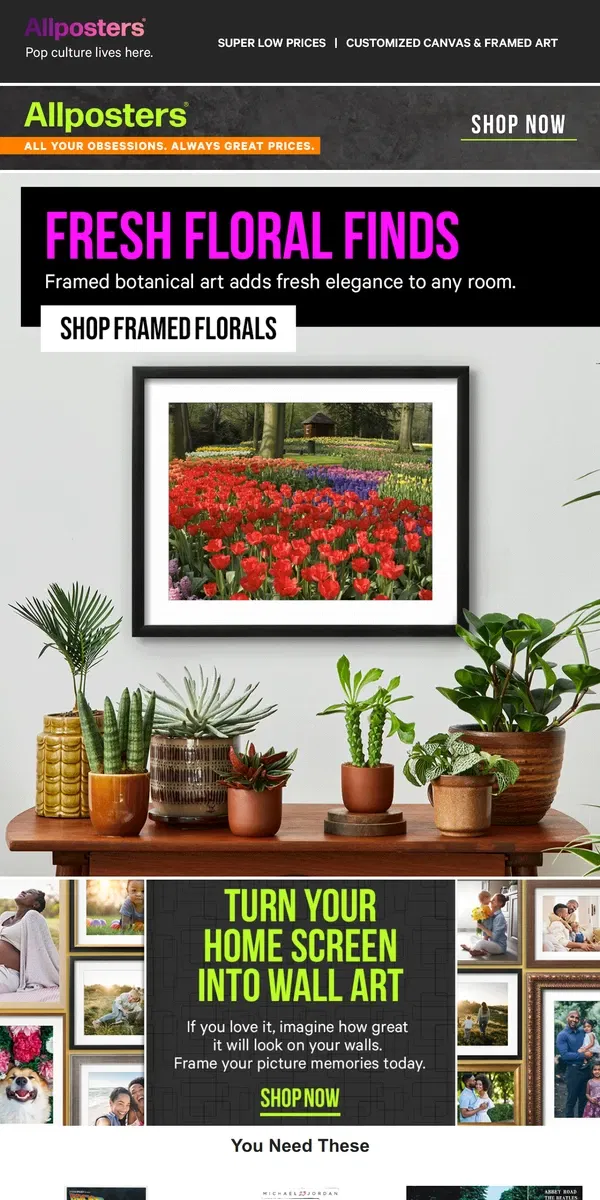 Email from AllPosters. Framed floral art blooms in any room.