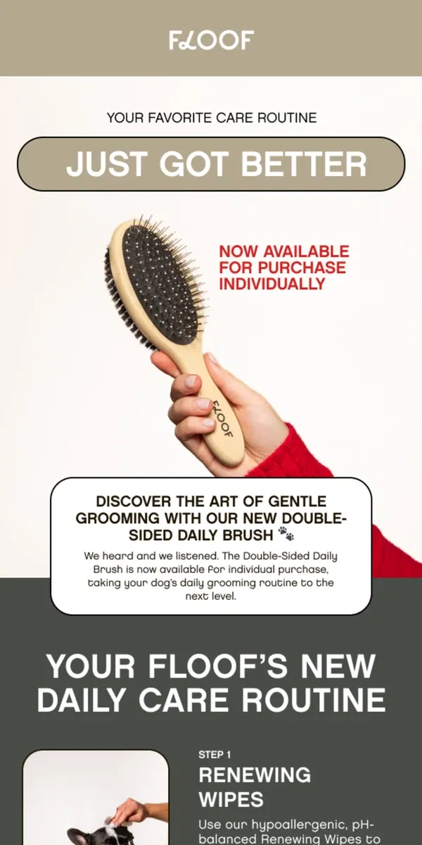 Email from Floof. Introducing: Our Signature Double-Sided Brush - Solo Debut! 🌟