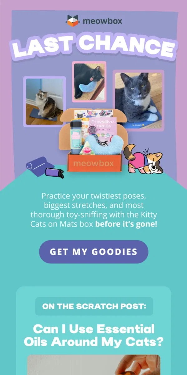 Email from meowbox. Just a few more days to get the yoga box! 🧘🏻🪷