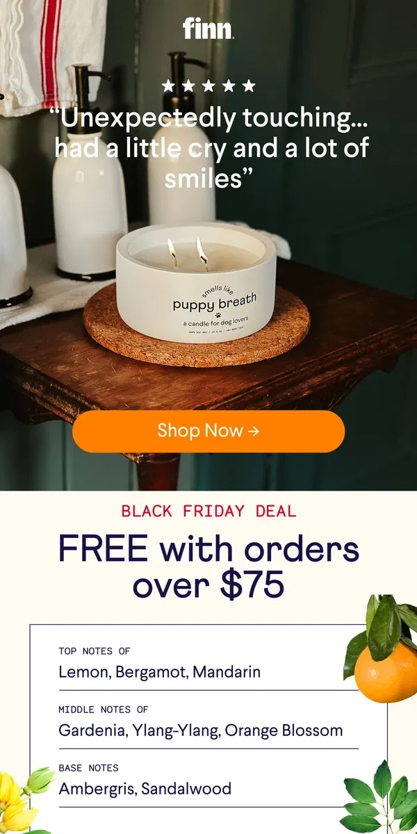 Email from Finn. Sniff, Sniff, Hooray! Get a Free Puppy Breath Candle Today! 🔥