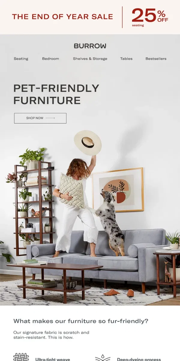 Email from Burrow. Pet-friendly furniture, now on sale