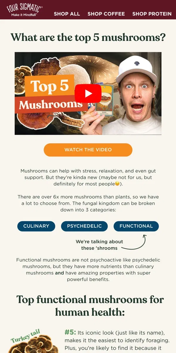 Email from Four Sigmatic. The top mushrooms for human health ranked!