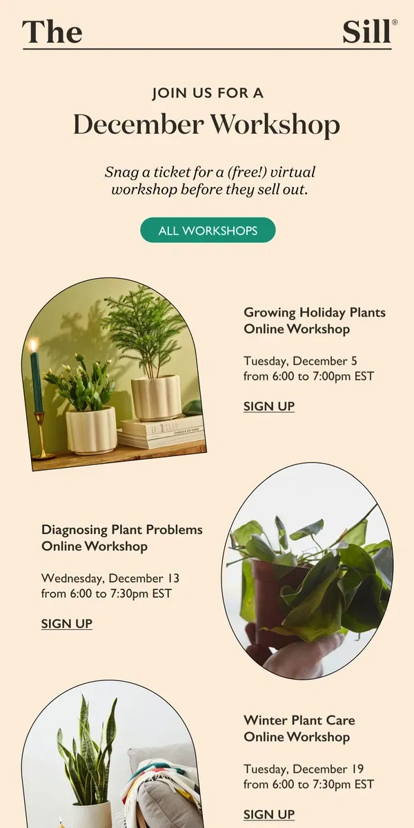 Email from The Sill. Join Us for a Free Online Workshop! 🌿