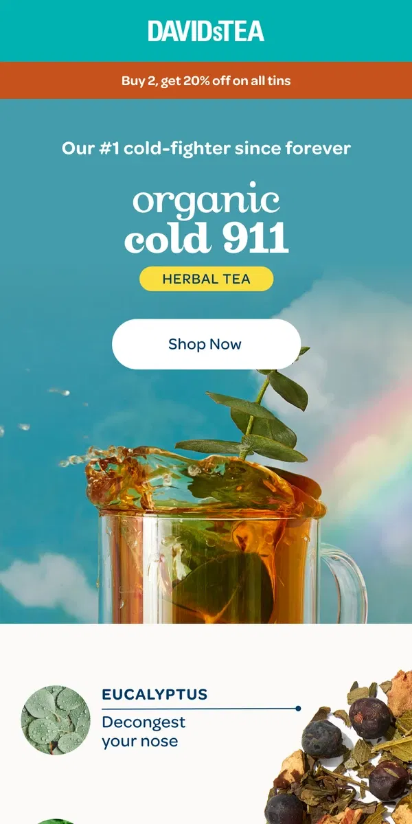 Email from DAVIDsTEA. Bust a cold 👊