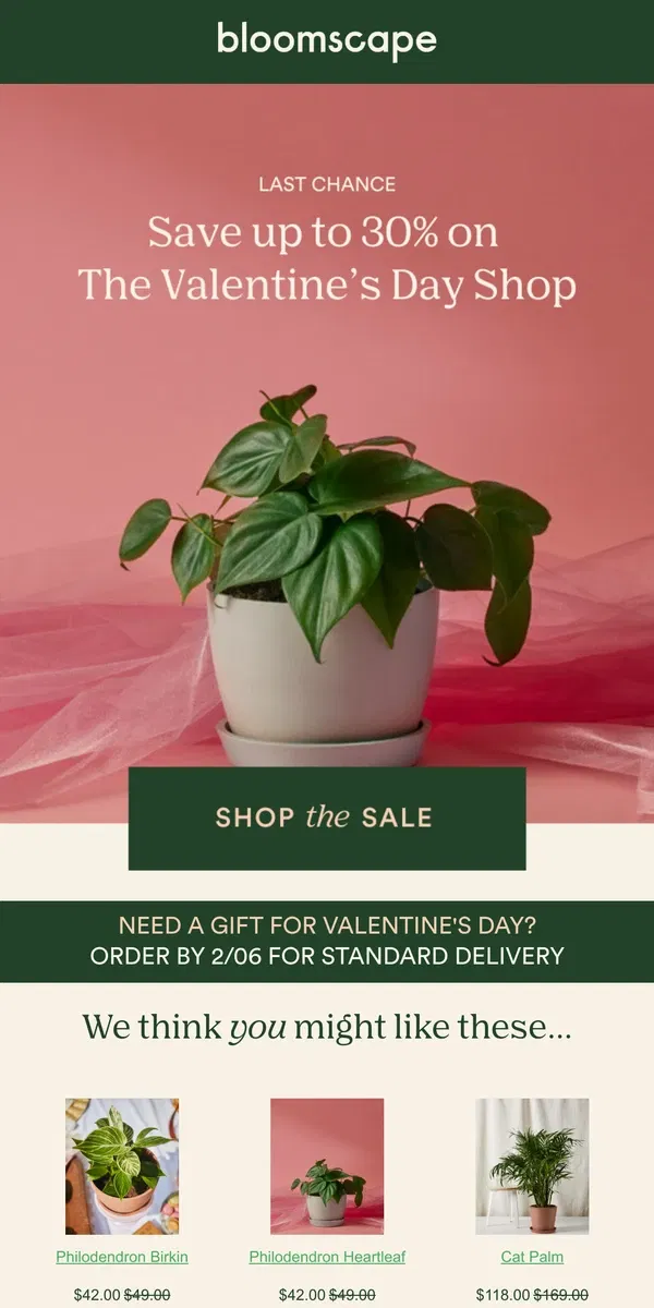 Email from Bloomscape. 💓Valentine's Day Sale ends tonight💓