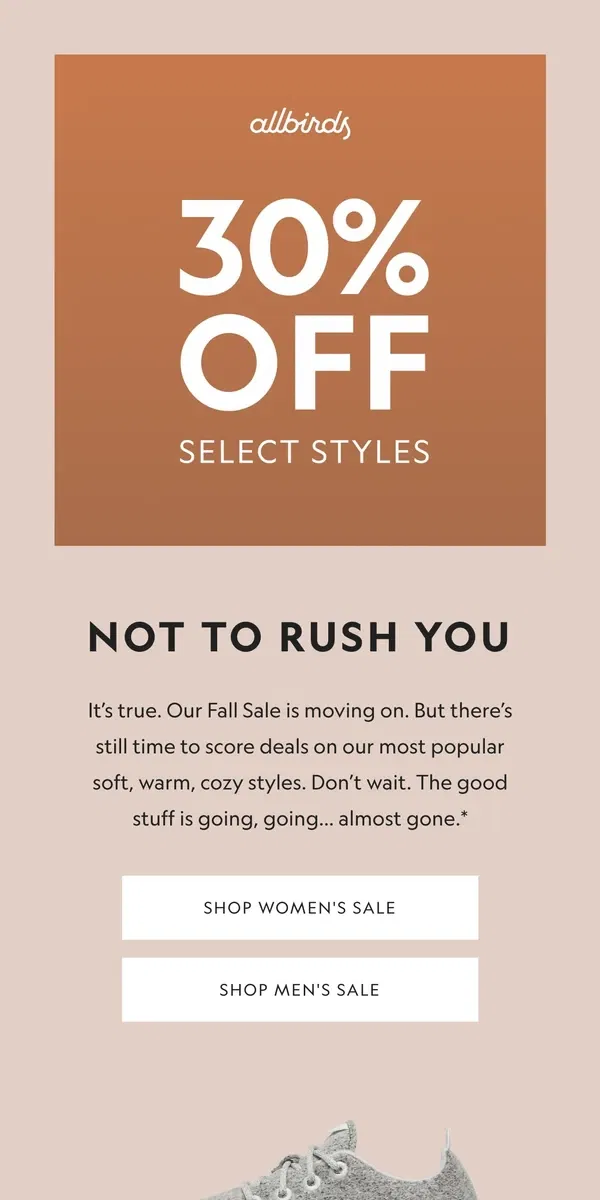 Email from Allbirds. Get It. Don’t Regret It 😬