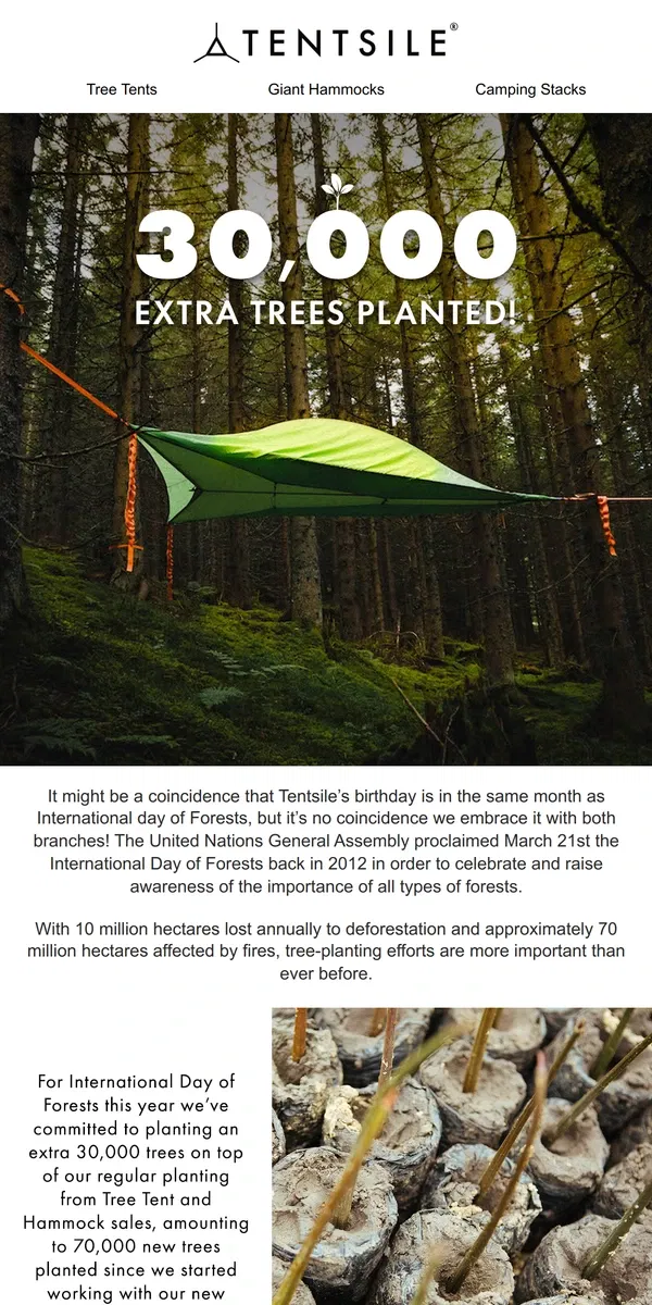 Email from Tentsile. Celebrating International Day Of Forests 🌲