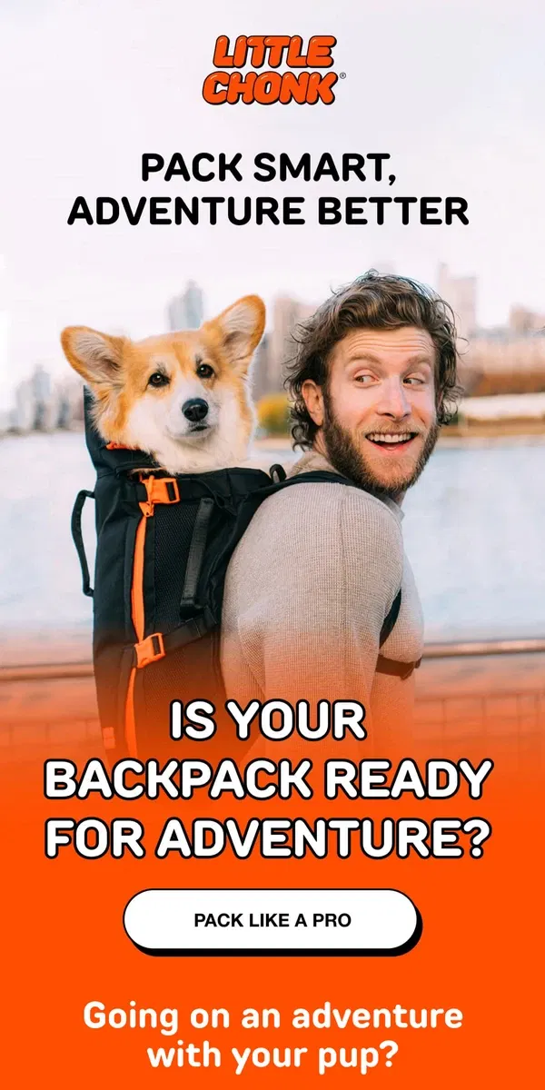 Email from Little Chonk. Is your dog’s backpack adventure-ready?