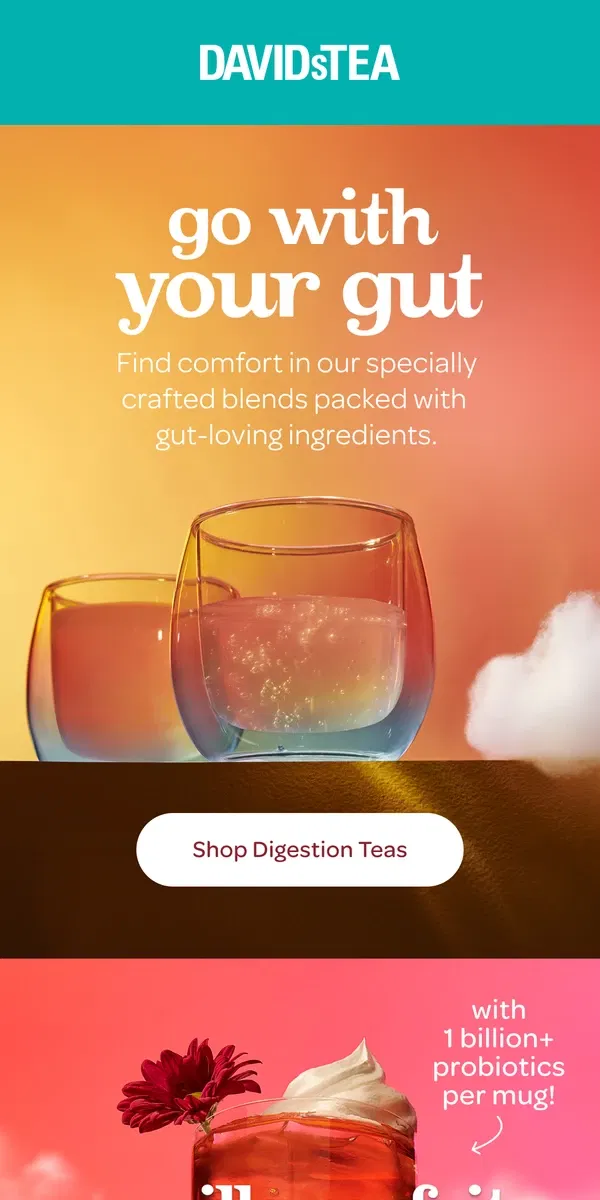 Email from DAVIDsTEA. These teas ❤ your gut