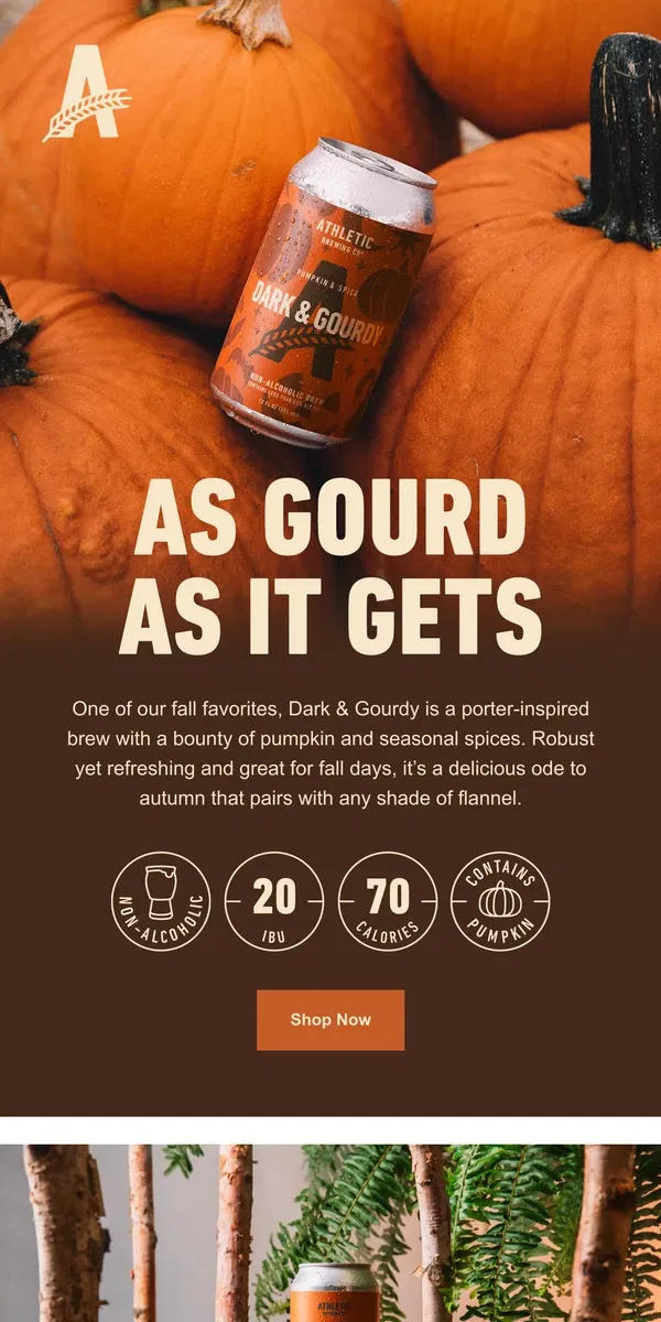 Email from Athletic Brewing Co. Put Fall In Your Fridge 🍁🍺