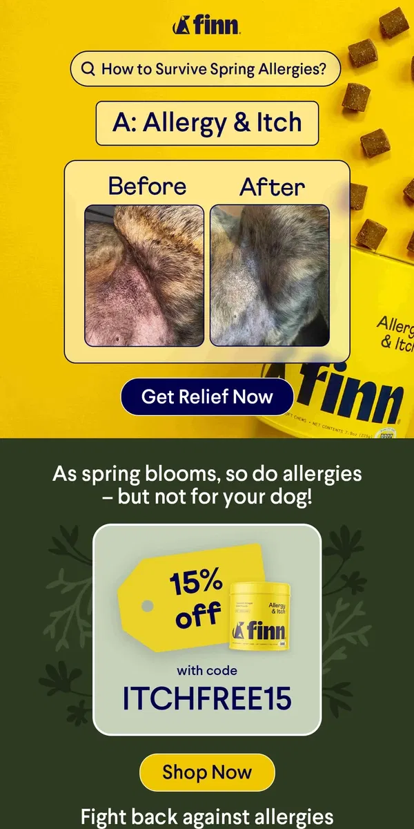 Email from Finn. Don't Let Allergies Defeat Your Dog ❌