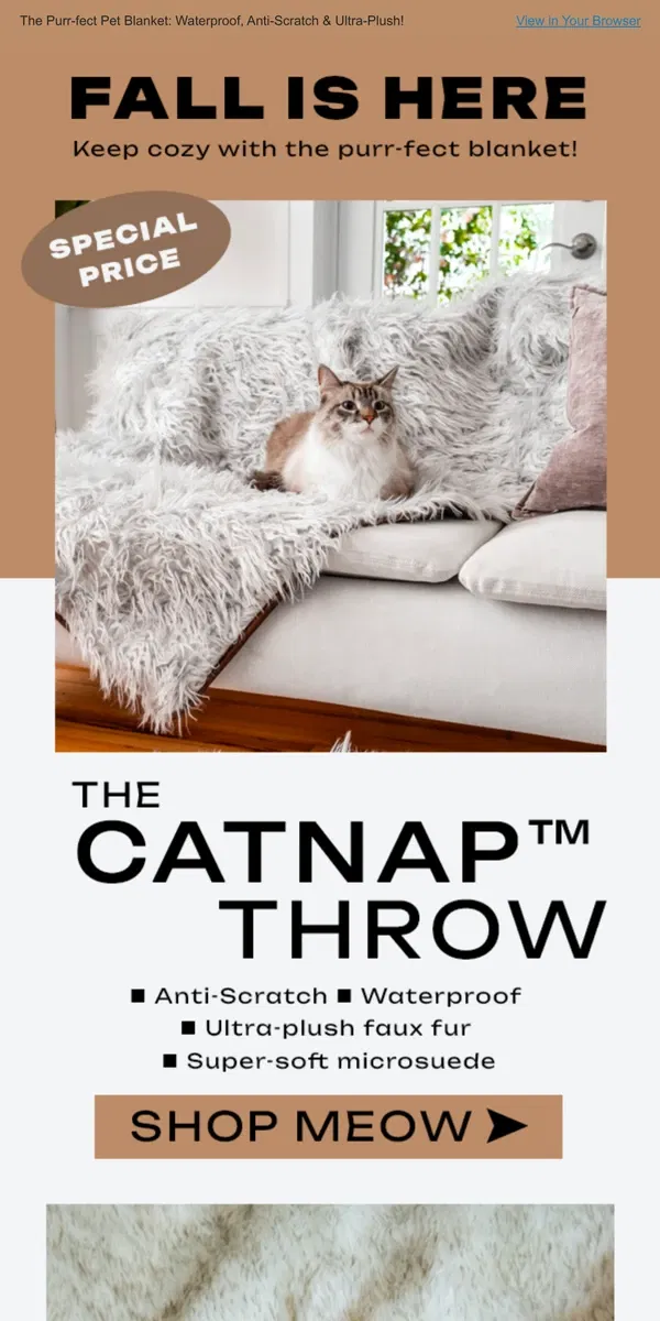 Email from Meowingtons. Snuggle Up This Fall - With The CatNap Throw! 🐱