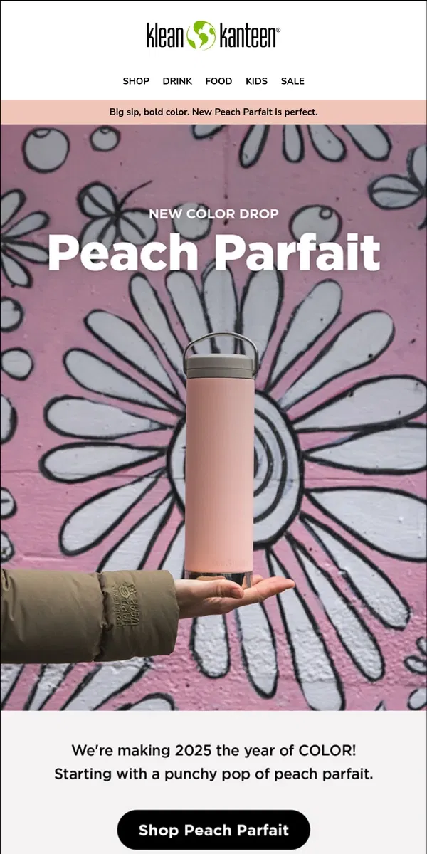 Email from Klean Kanteen. New Color! Peach Parfait.