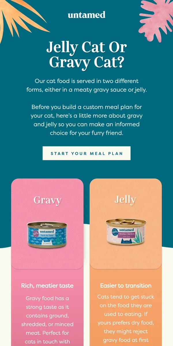 Email from Untamed Cat Food. Gravy or jelly? That is the question.