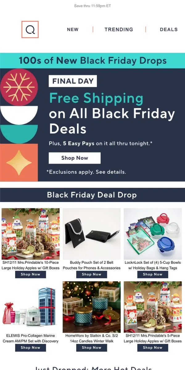 Email from QVC. Last Day! Black Friday Free Shipping