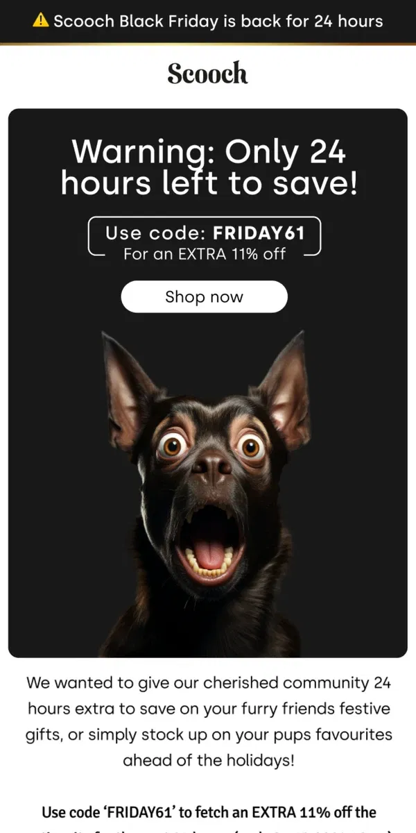 Email from Scooch. Last Chance! Extra 11% Off ⏰ 🐶