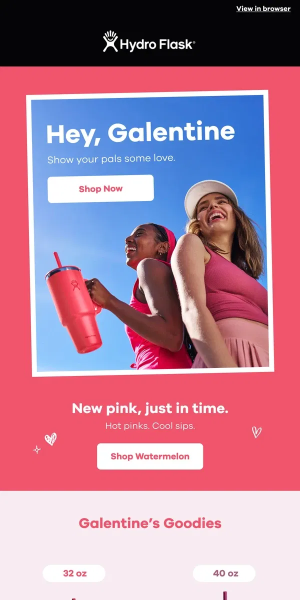 Email from Hydro Flask. Show your Galentine some love 💕