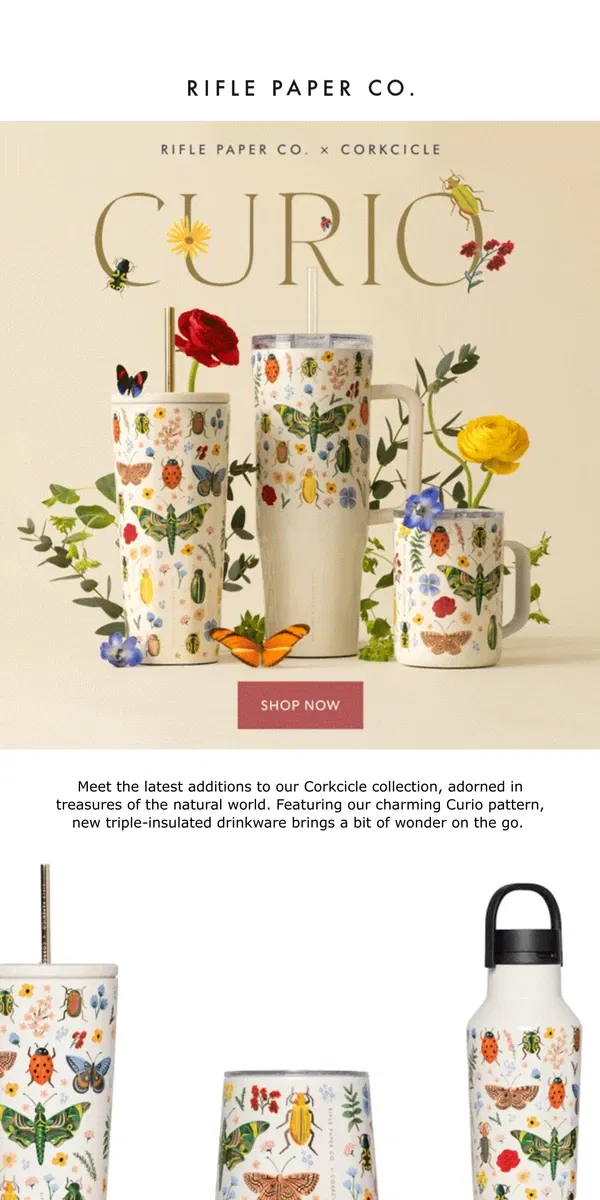 Email from Rifle Paper Co.. Rifle Paper Co. x Corkcicle in Charming Curio