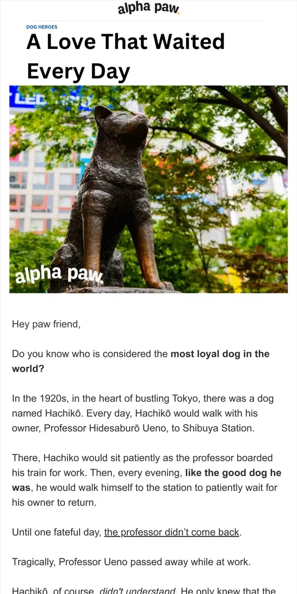 Email from Alpha Paw. 🐶 World's Most Loyal Dog?