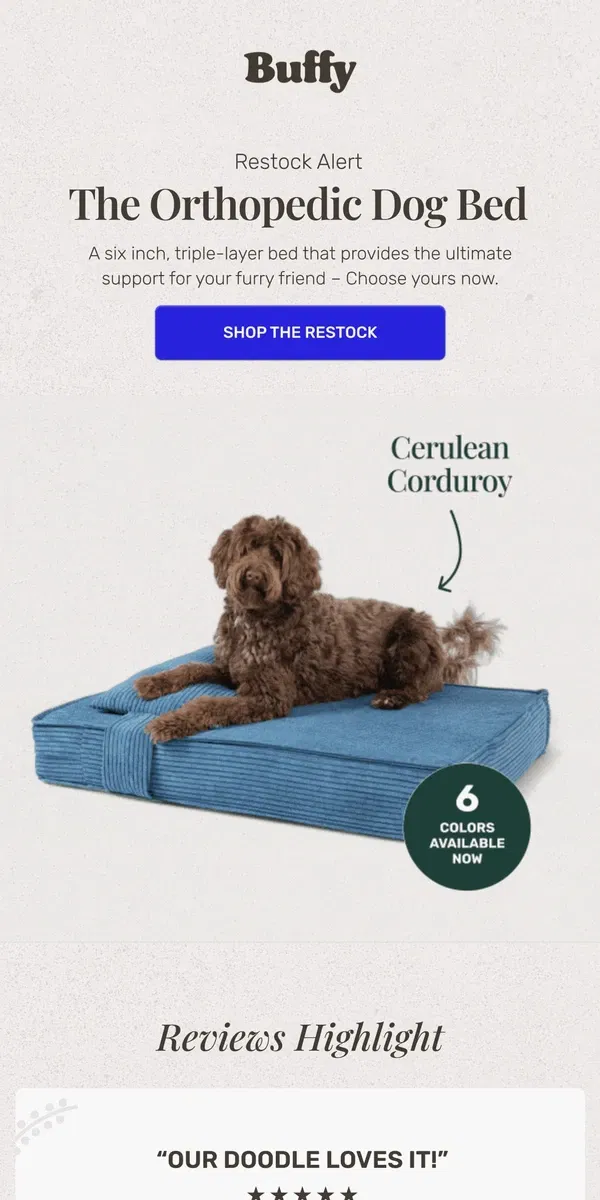 Email from Buffy. Restock: Orthopedic Dog Bed