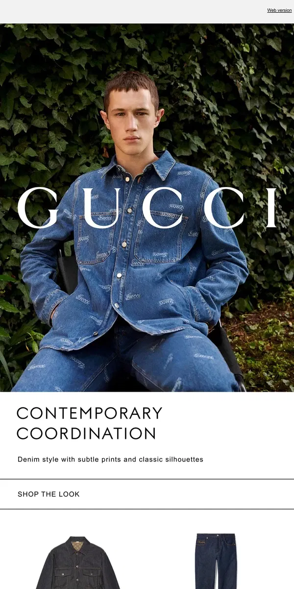 Email from GUCCI. All About Denim