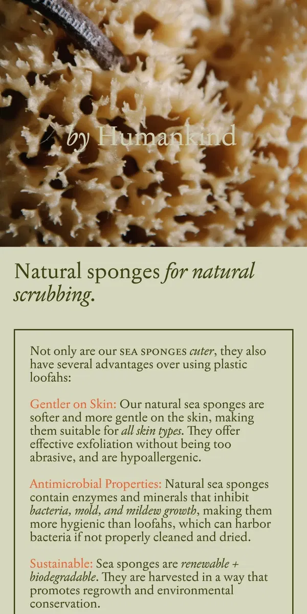 Email from by Humankind. Antimicrobial Sea Sponge