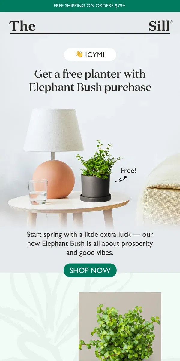 Email from The Sill. Only a handful of free planters left!